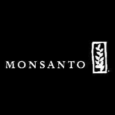 Monsanto, cliente atendido pela BR2