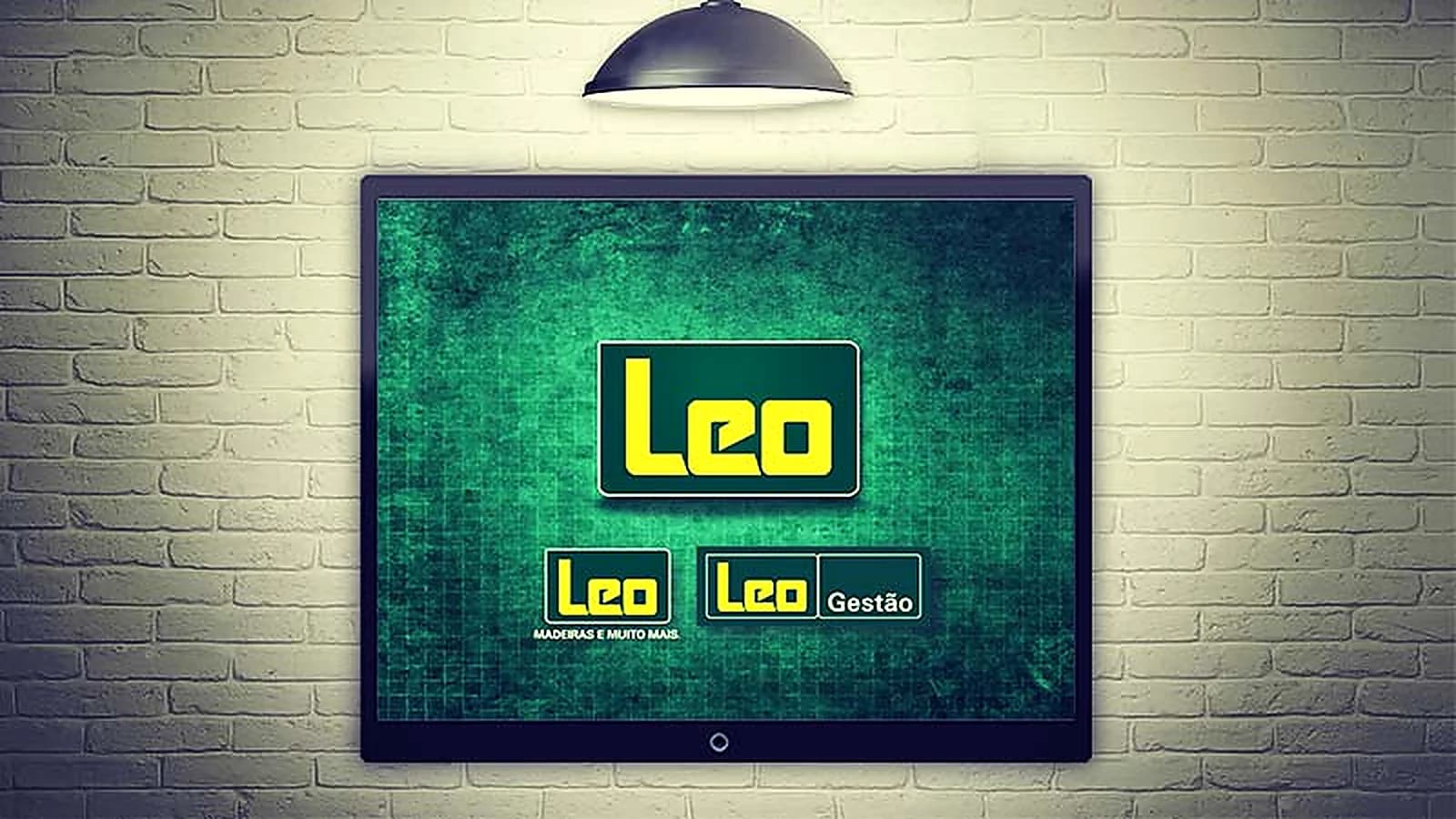 Apresentação para Leo Madeiras, criação da BR2
