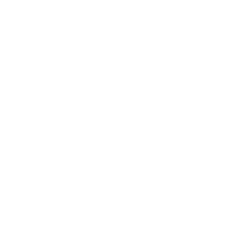 Honma Tokyo - Cliente atendido pela Agência BR2